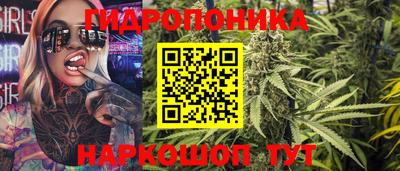 ECSTASY Камышлов