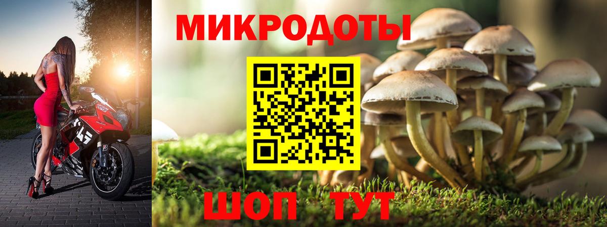 Балтийск  Псилоцибиновые грибы GOLDEN TEACHER  хочу наркоту  Вход с VPN 