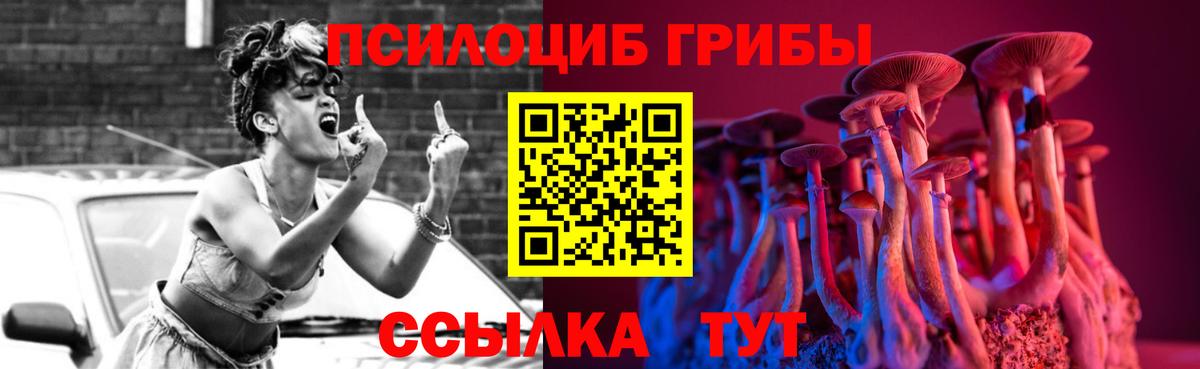 Галлюциногенные грибы Psilocybine cubensis  Балтийск 